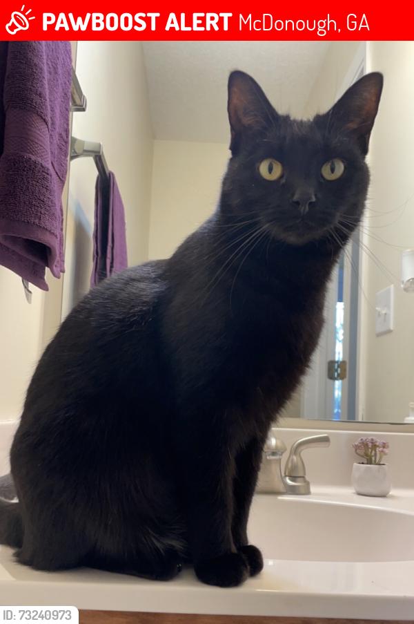 Lost Female Cat last seen Brannan road, McDonough, GA 30253