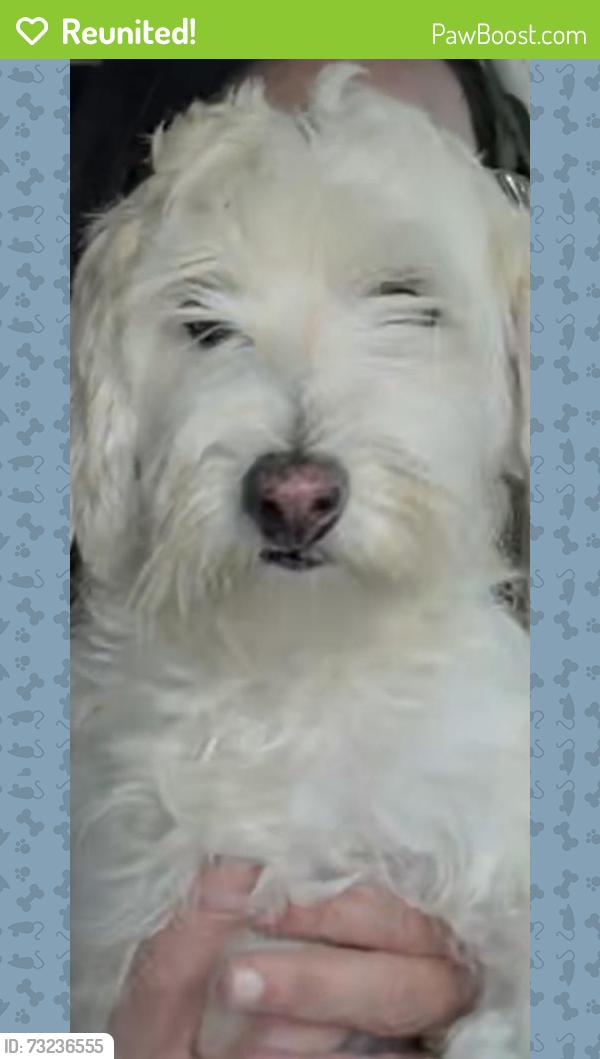 Reunited Female Dog last seen ARKANSAS / Perkins, Arlington, TX 76016