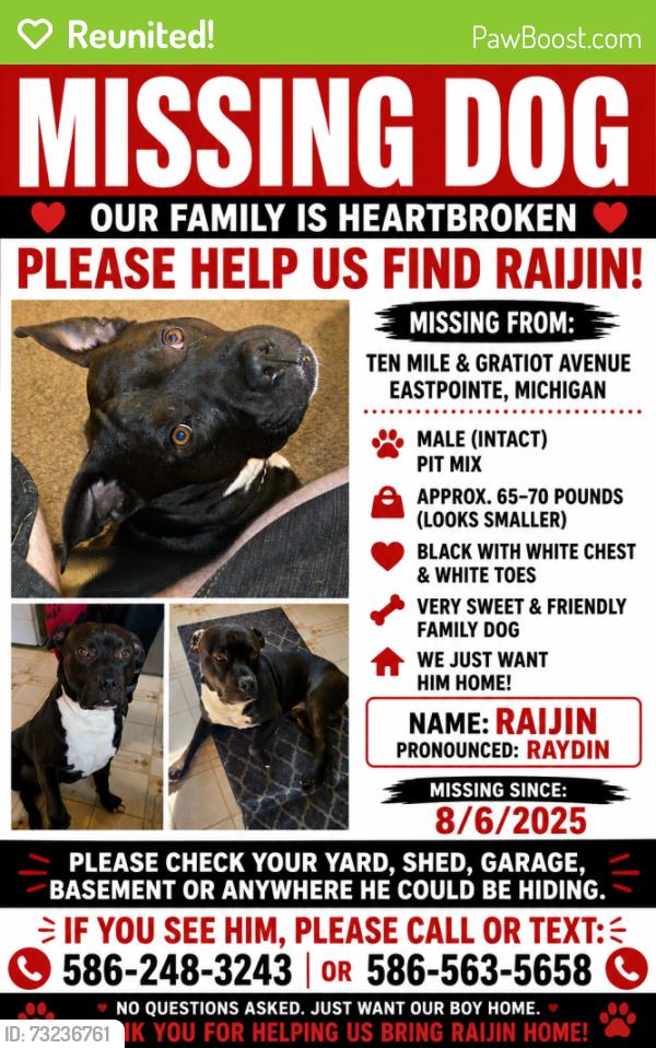 Reunited Male Dog last seen 10 mile and Gratiot, Eastpointe, MI 48066