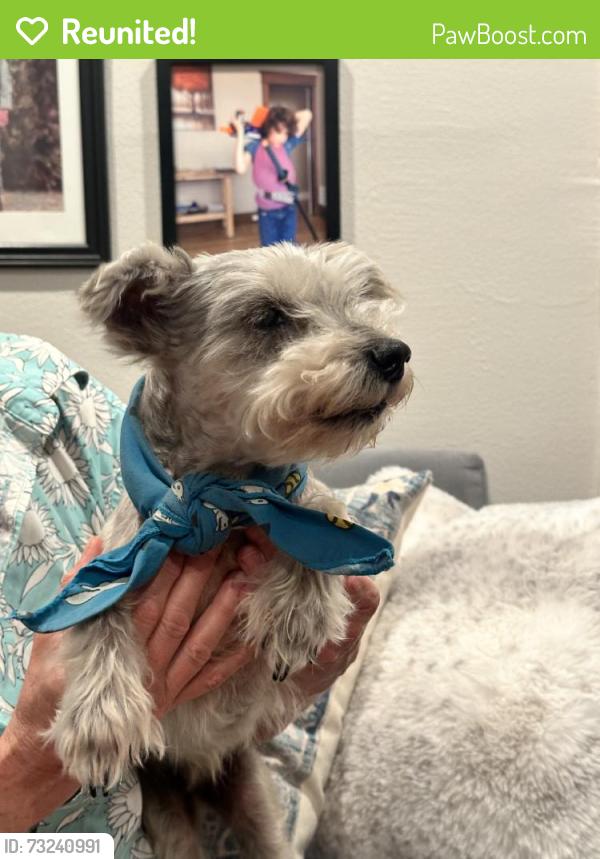 Reunited Male Dog last seen Near Ash Creek Dr, Dallas, TX 75228, USA, Dallas, TX 75228
