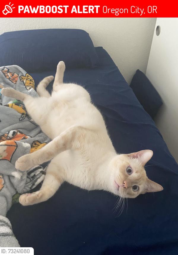 Lost Male Cat last seen Near Marjorie Ln Oregon City, OR 97045 Estados Unidos, Oregon City, OR 97045