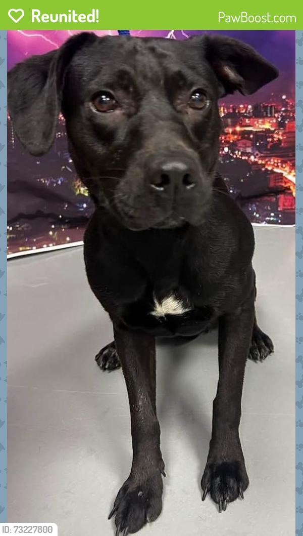 Reunited Female Dog last seen Unknown, Conyers, GA 30012