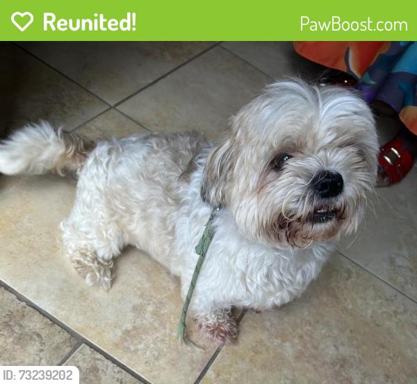 Reunited Male Dog last seen Boulder Knoll CT. Ellenwood Ga., near Boulder Run Trail, DeKalb County, GA 30294