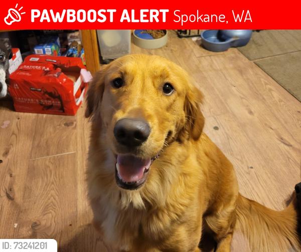 Lost Female Dog last seen Wind River /291, Spokane, WA 99208