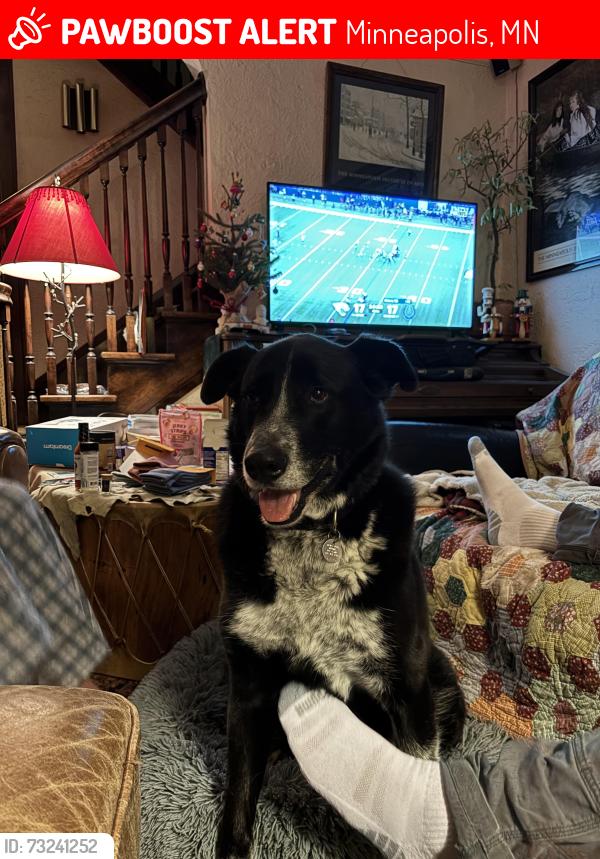 Lost Male Dog last seen 51st Street & 18th Avenue, Minneapolis, MN 55417