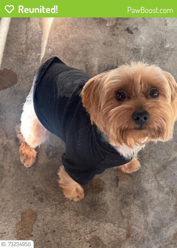Reunited Male Dog last seen FM 78, San Antonio, TX 78244