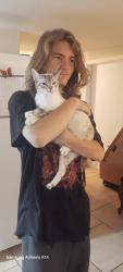 Lost Female Cat last seen Kennedy way, Cleveland hwy, Dalton, GA 30721