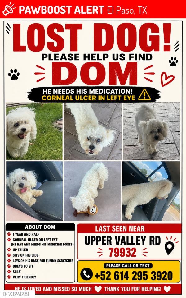 Lost Male Dog last seen upper valley road, El Paso, TX 79932