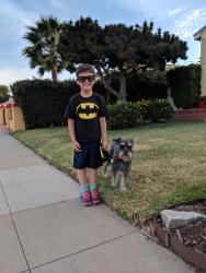 Lost Male Dog last seen Swarthmore st, La Mesa, CA 91942