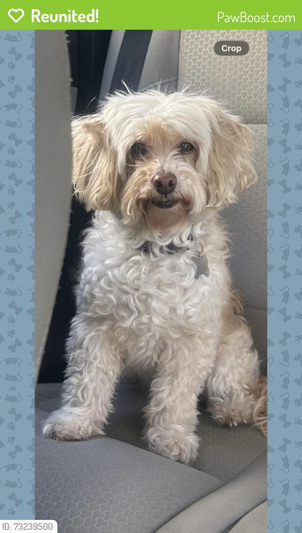 Reunited Female Dog last seen El Sereno - Eastern and Converse, Los Angeles, CA 90032