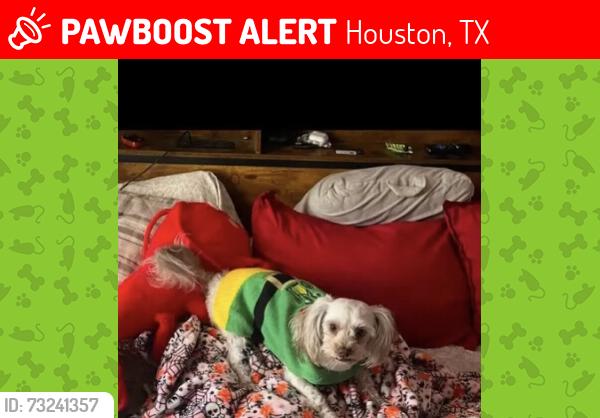 Lost Female Dog last seen Near Park Place Blvd Houston, Tx 77087, Houston, TX 77087