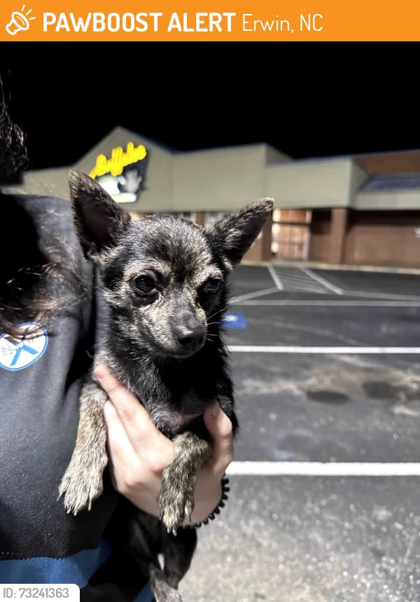 Found/Stray Male Dog last seen Parking lot of Buffaloe Lanes, Erwin, NC 28339