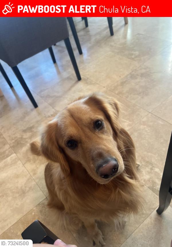 Lost Male Dog last seen Rolling Hills Ranch, Chula Vista, CA 91914