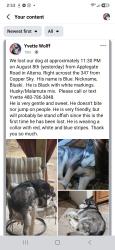 Lost Male Dog last seen Hwy 347 and Alterra Parkway 85139, Maricopa, AZ 85139