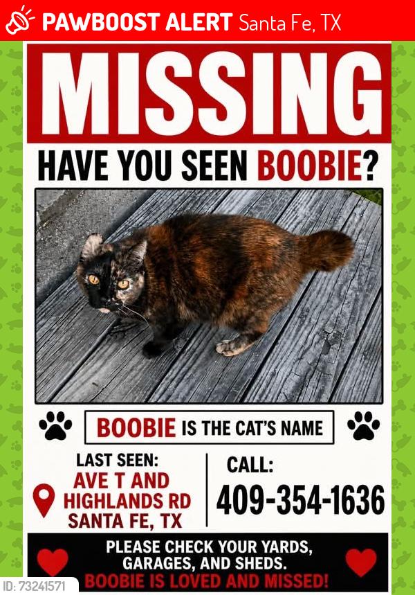 Lost Female Cat last seen Avenue T and Highlands, Santa Fe, TX 77510