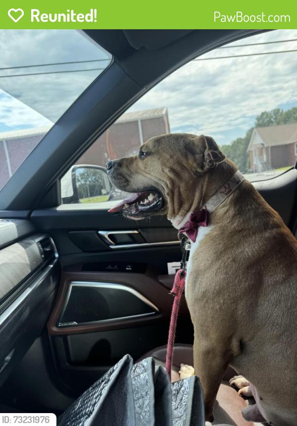 Reunited Male Dog last seen Dry Pond/Stockton Farm Rd, Pendergrass, GA 30567