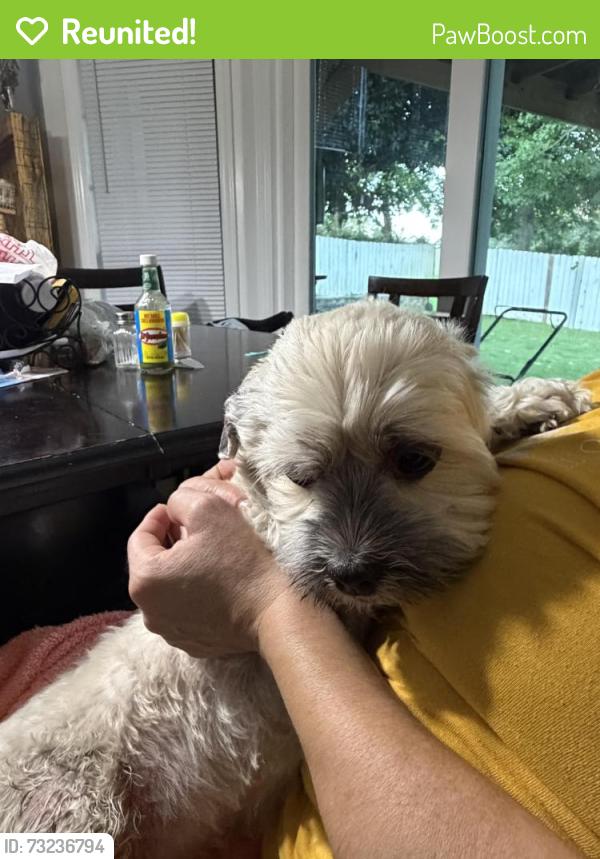 Reunited Female Dog last seen on exit 6 & hodge rd, Knightdale, NC 27610