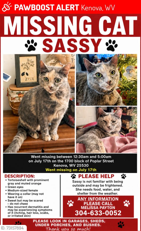 Lost Female Cat last seen Near block of Poplar Street in Kenova, WV, Kenova, WV 25530
