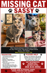 Lost Female Cat last seen Near block of Poplar Street in Kenova, WV, Kenova, WV 25530