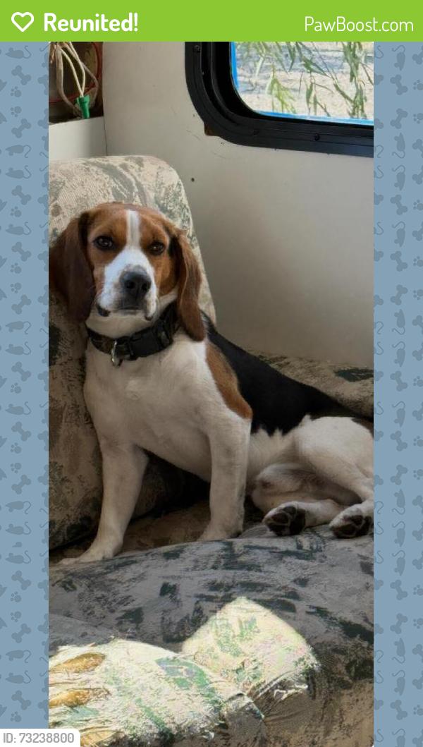 Reunited Male Dog last seen Near Calliope Way, Raleigh, NC 27616, USA, Raleigh, NC 27616