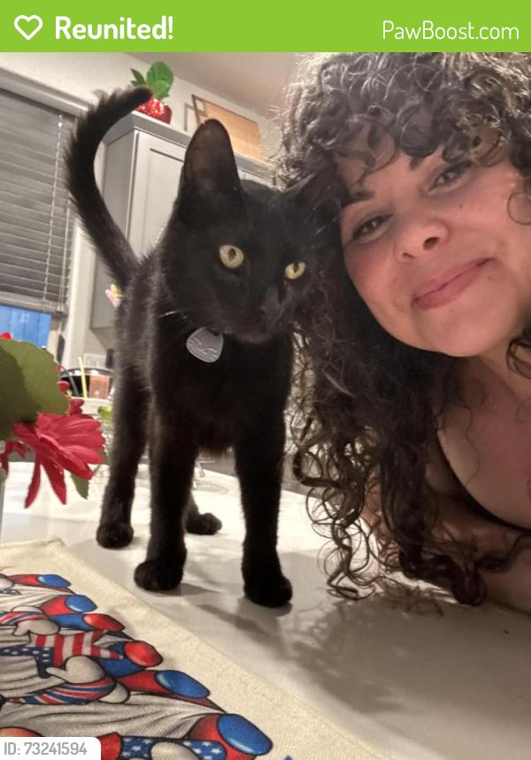 Reunited Female Cat last seen Fiddyment and Vista Grande, Roseville, CA 95747