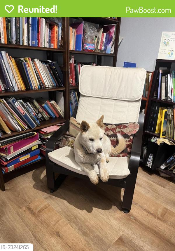 Reunited Female Dog last seen S M Street and Redwood, Oxnard, CA 93035