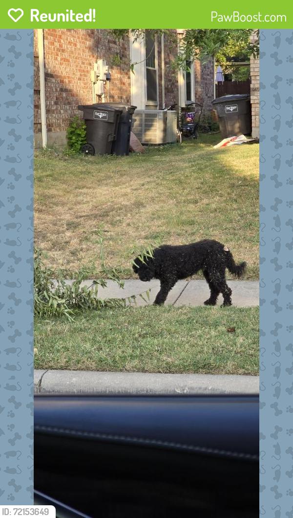 Reunited Male Dog last seen Starboard and Coral Creek Fort Worth, Fort Worth, TX 76135