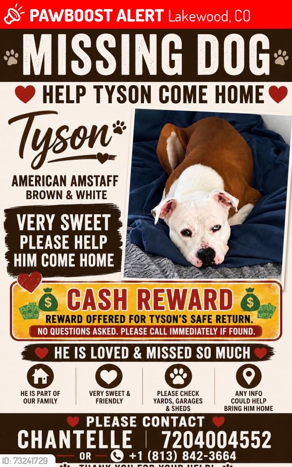 Lost Male Dog last seen Colfax, Lakewood, CO 80215