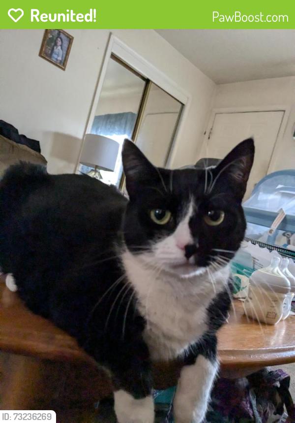 Reunited Female Cat last seen Woodland heights neighborhood, Wilmington, DE 19805
