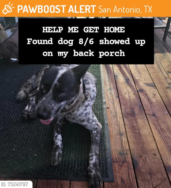 Found/Stray Male Dog last seen Near & 281 S, San Antonio, TX 78264