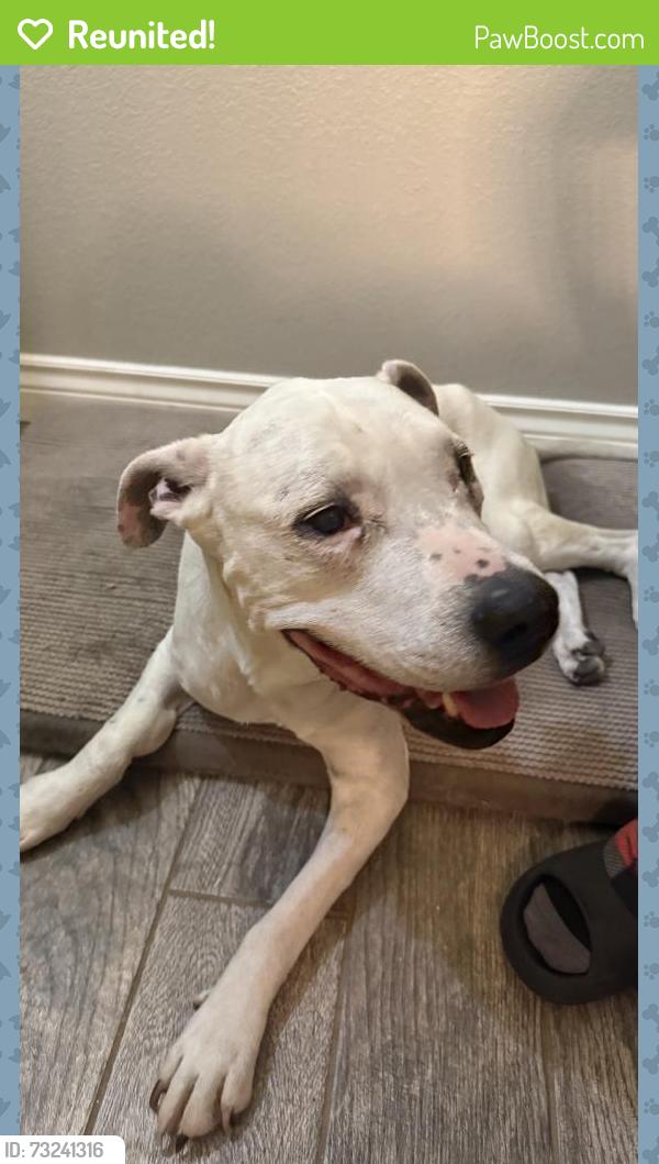 Reunited Unknown Dog last seen Misty Breeze Dr, Fort Worth, TX 76179, USA, Fort Worth, TX 76179