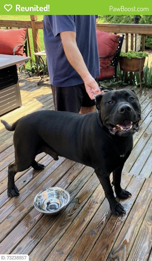 Reunited Male Dog last seen Brookedge Dr, Hamlin, NY 14476