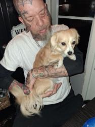 Reunited Female Dog last seen CoExist Gallery, Steelton, PA 17113