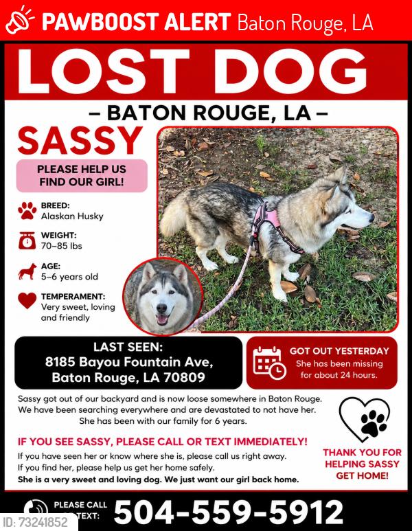Lost Female Dog last seen Burbank Dr and S Staring Ln, Baton Rouge, LA 70820