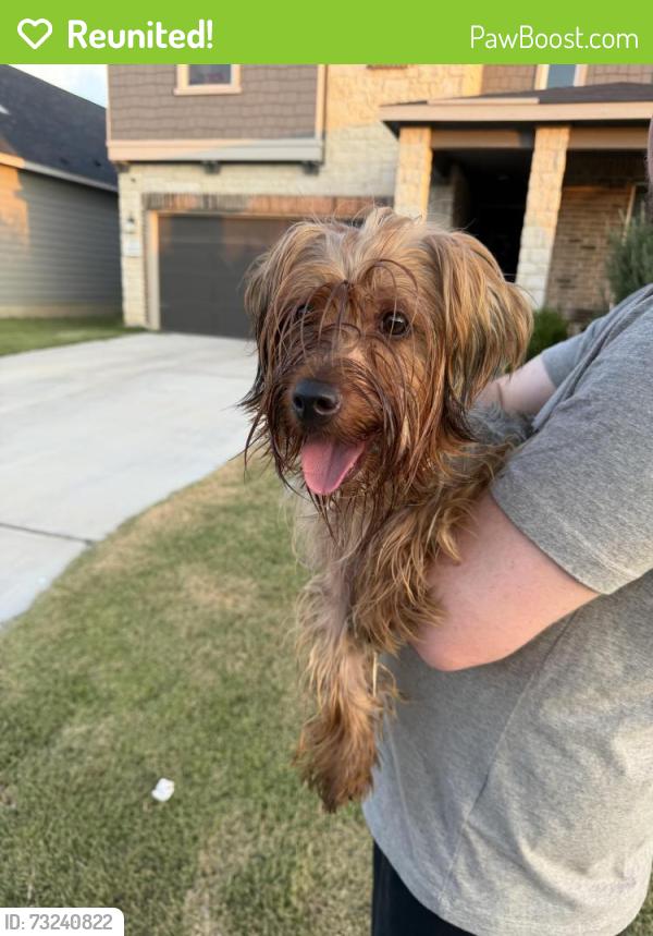 Reunited Unknown Dog last seen Sunday Song, San Antonio, TX 78245