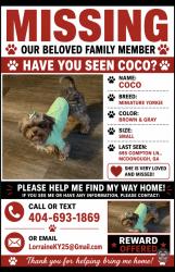 Reunited Female Dog last seen Bridges Rd, McDonough, GA 30253