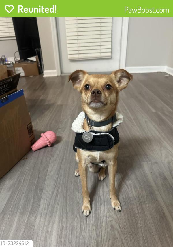 Reunited Male Dog last seen Near Belmont Dr., Ralston, NE 68127, Omaha, NE 68127
