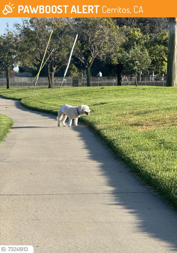 Found/Stray Unknown Dog last seen Liberty park, Cerritos, CA 90703