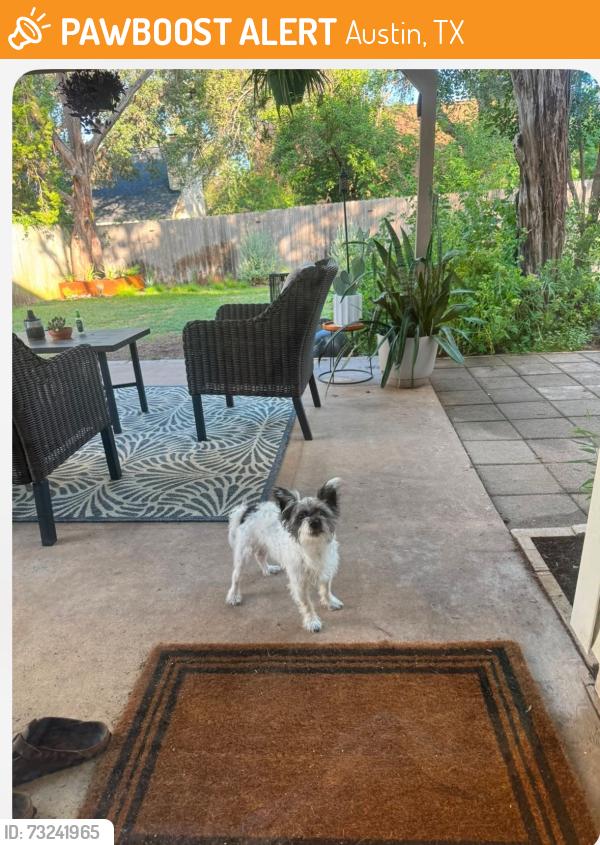 Found/Stray Male Dog last seen William Cannon and South First, Austin, TX 78745