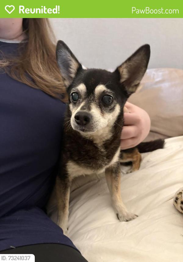 Reunited Male Dog last seen Melstone and Walden, Arlington, TX 76016