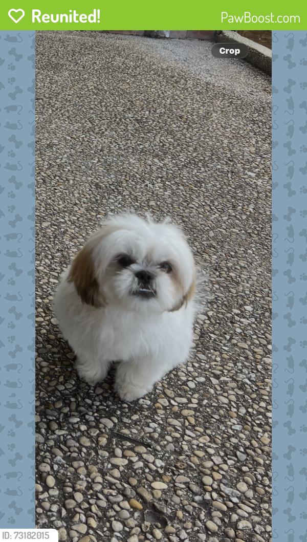 Reunited Female Dog last seen Ww White & 410, San Antonio, TX 78222