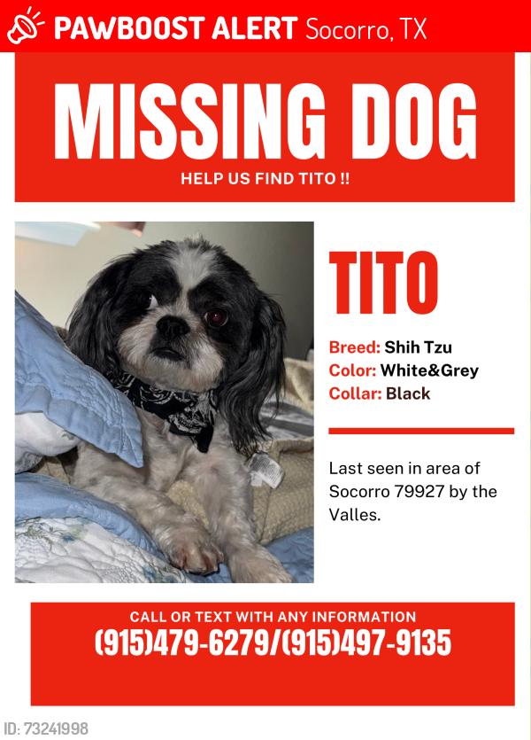 Lost Male Dog last seen Valle Del Mar, Socorro, TX 79927