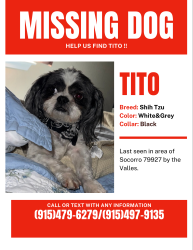 Lost Male Dog last seen Valle Del Mar, Socorro, TX 79927