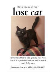 Lost Female Cat last seen Brookwood and main, Hillsboro, OR 97124