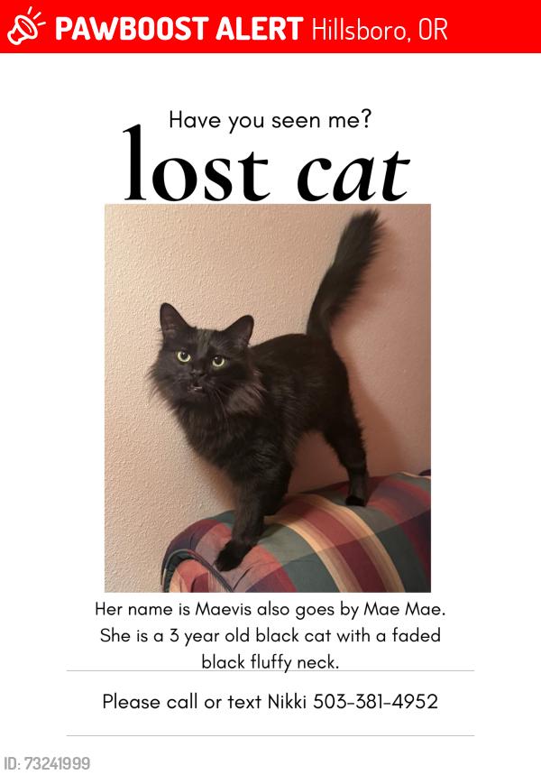 Lost Female Cat last seen Brookwood and main, Hillsboro, OR 97124