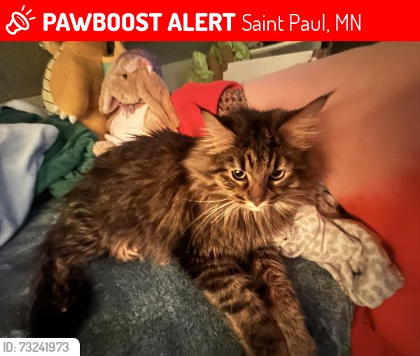 Lost Male Cat last seen Near E Nebraska ave, Saint Paul, MN 55119