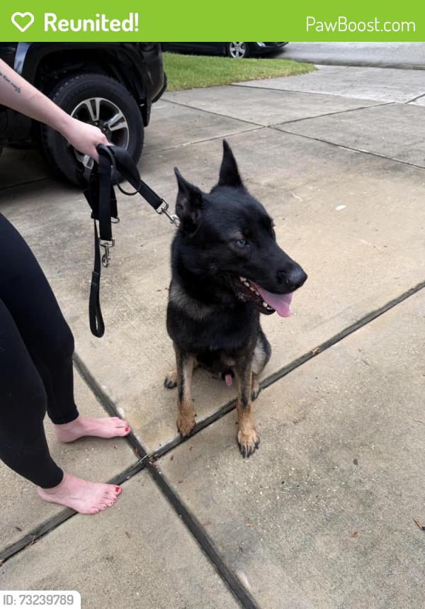 Reunited Male Dog last seen High Valley, Houston, TX 77345
