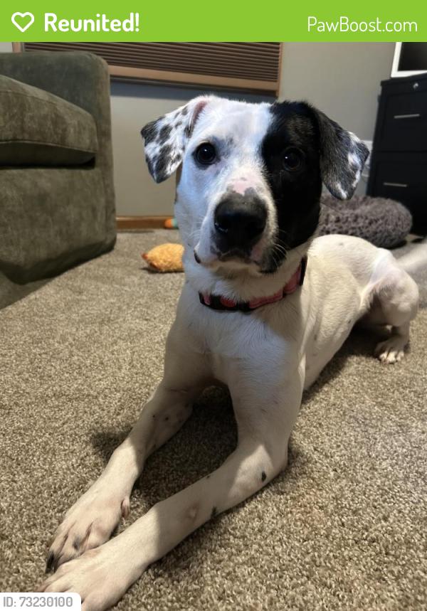 Reunited Male Dog last seen Village Green East apmts, Janesville, WI 53546