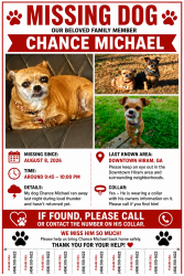 Lost Male Dog last seen downtown hiram, Hiram, GA 30141