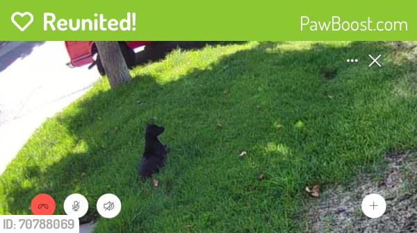 Reunited Male Dog last seen Park Vista Dr, Rialto, CA 92376, USA, Rialto, CA 92376